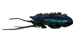 reefback_fauna.png